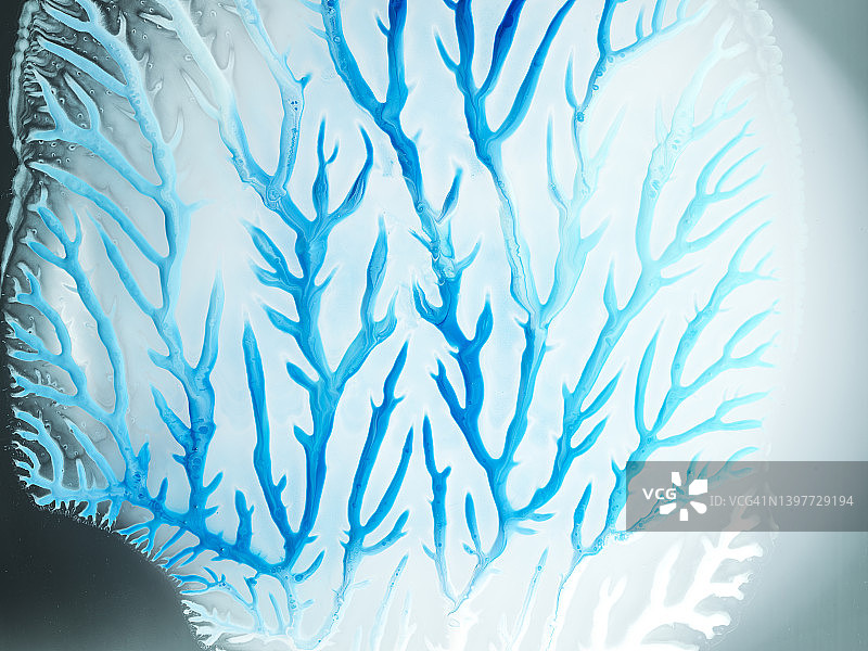 蓝色油滴枝状图案图片素材