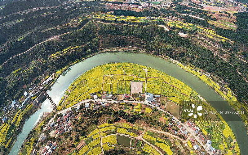 中国西部河流边的油菜花航拍照片图片素材