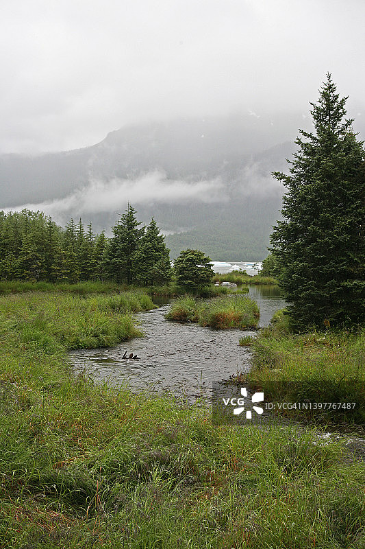 阿拉斯加州朱诺的沿海风光图片素材