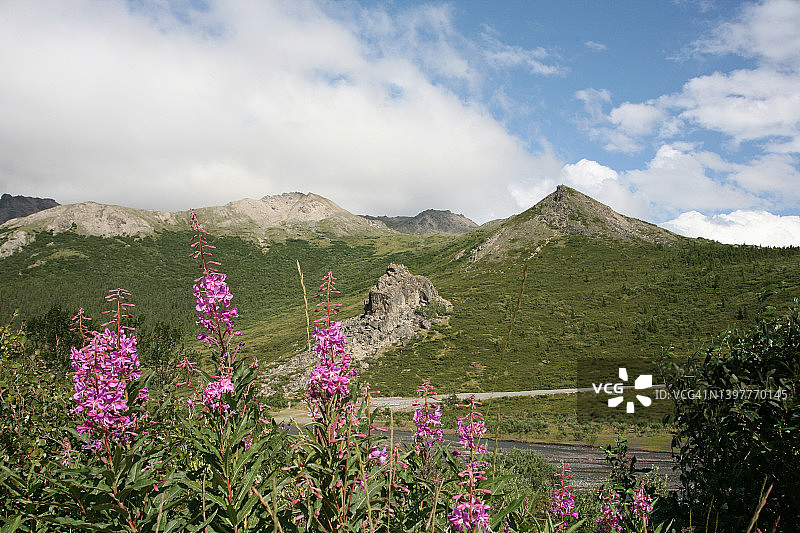 德纳里公园的风景图片素材