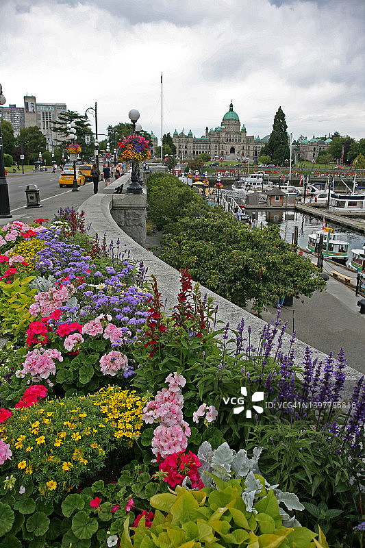 加拿大维多利亚港海滨图片素材