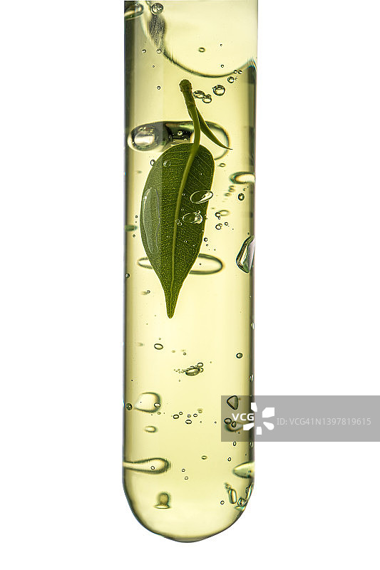 装有透明绿色化妆凝胶和绿叶的试管图片素材