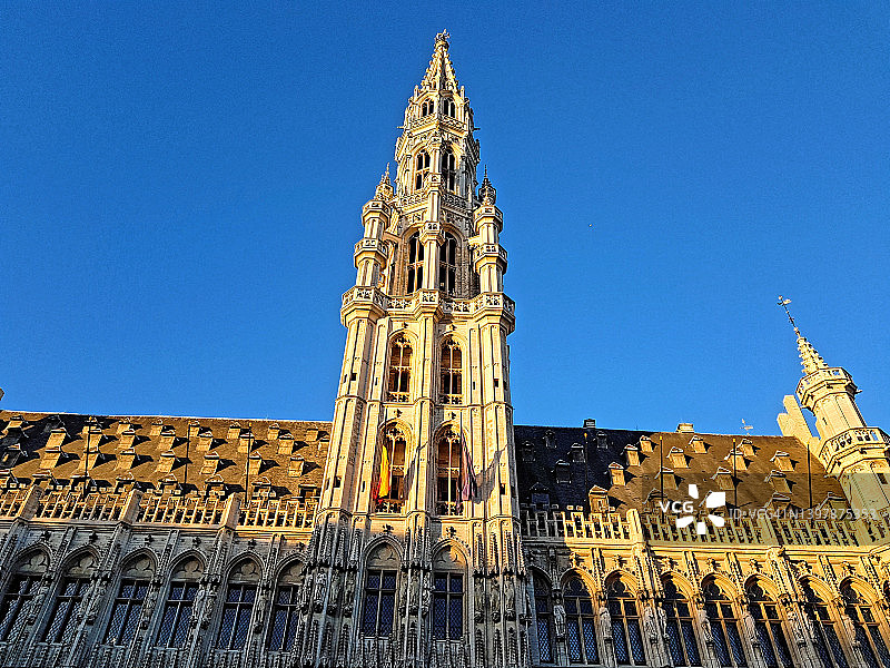 阳光明媚的布鲁塞尔市政厅外观和塔楼，大广场，火焰哥特式建筑风格图片素材