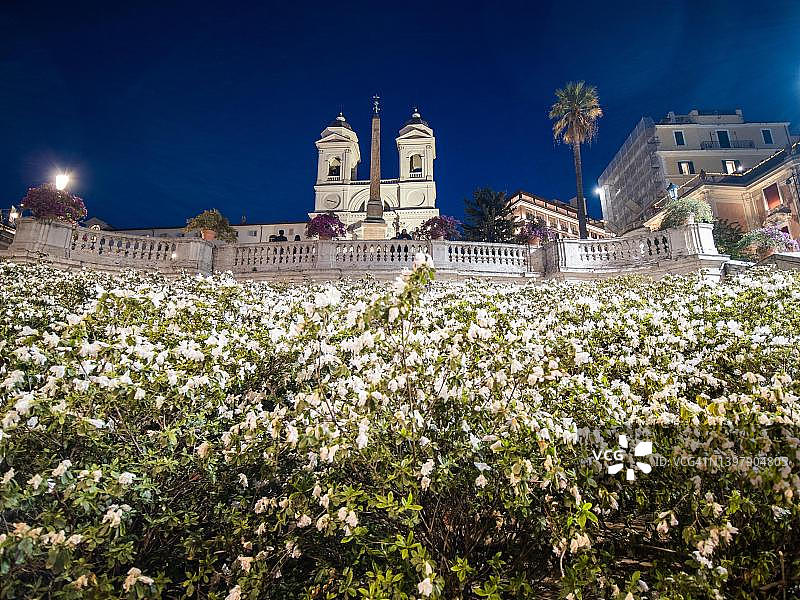 花卉装饰：西班牙广场，西班牙阶梯，圣三一教堂夜景，意大利拉齐奥罗马图片素材