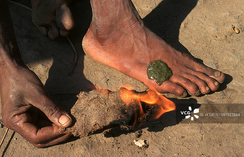 印度部落男子用印度楝树叶制成的膏药疗伤图片素材
