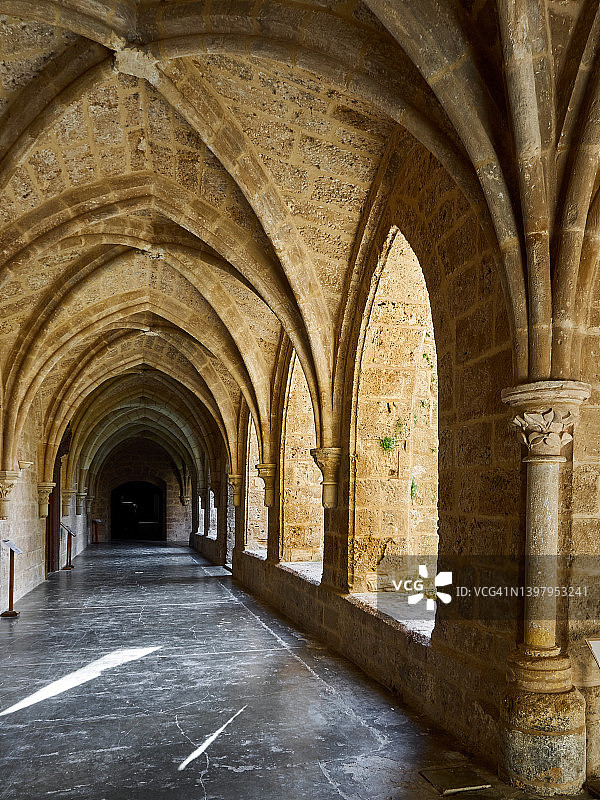 西班牙阿拉贡自治区，西斯廷皮耶德拉修道院的回廊图片素材