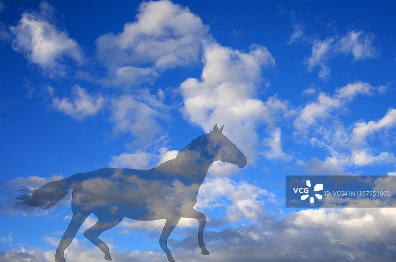 天空骏马数字图像图片素材