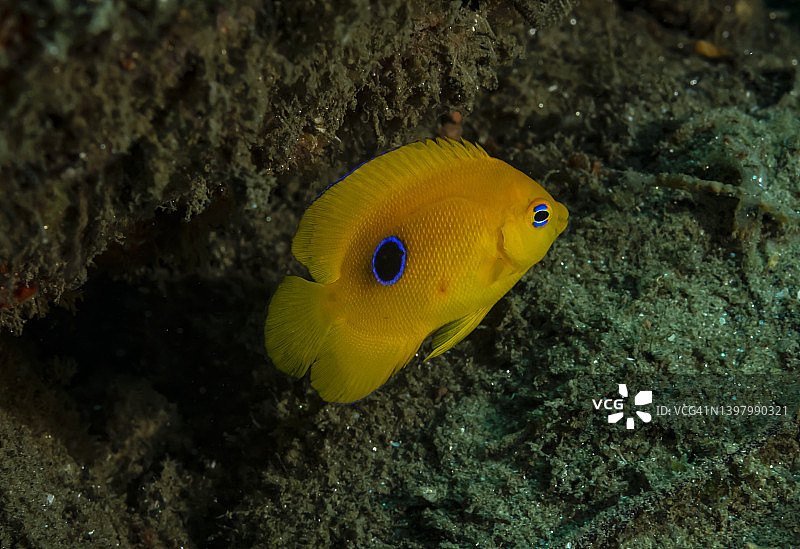 岩石之美图片素材