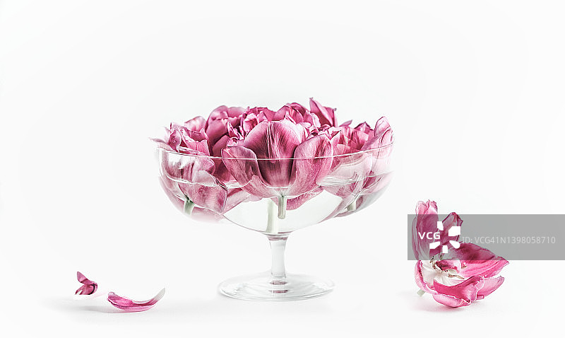 白色背景上的玻璃花瓣和浪漫的牡丹花图片素材