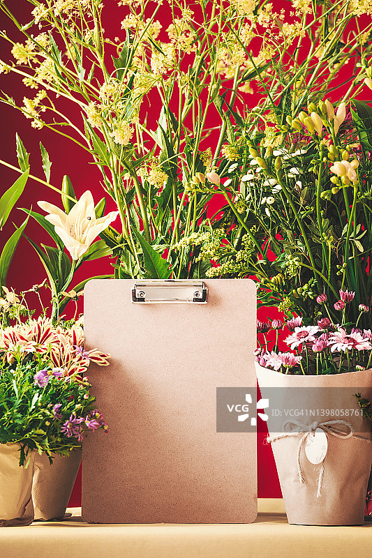 红色墙壁背景静物花卉盆栽待办事项清单图片素材