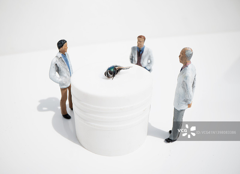 科学家与苍蝇图片素材