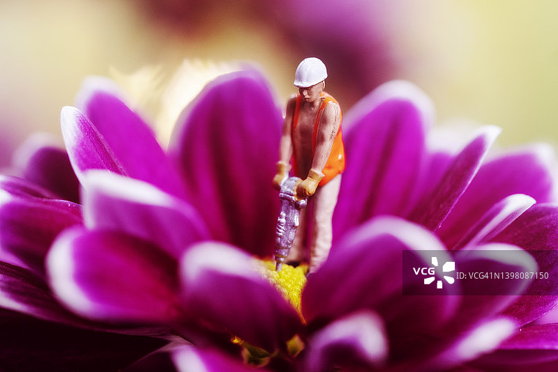 象征破坏自然的建筑工人雕像和盛开的花朵图片素材