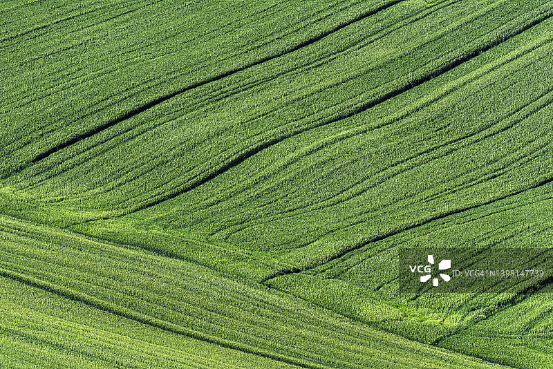 起伏的耕地草场图片素材
