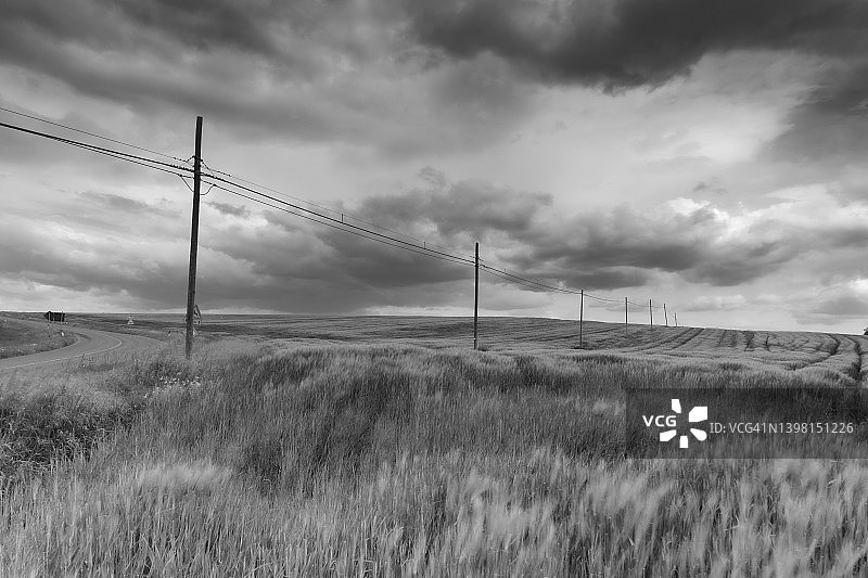 麦田里的电话杆，狂风呼啸，戏剧化的天空图片素材