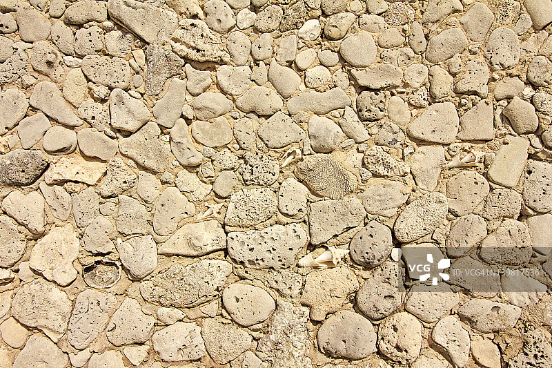 带有化石的石墙图片素材