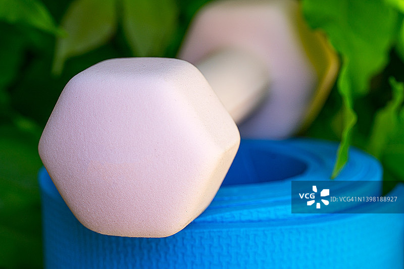 粉色哑铃和蓝色瑜伽垫上的运动生活方式图片素材