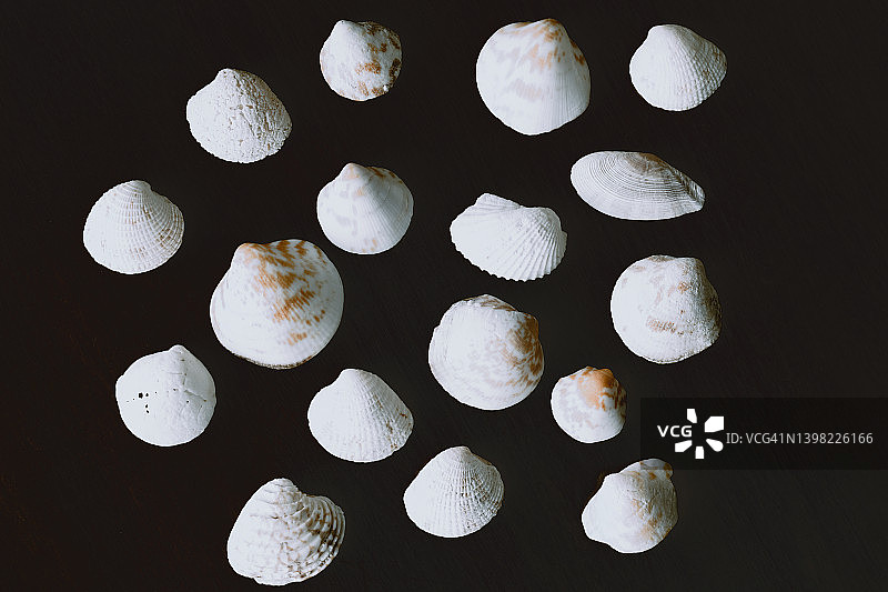 木质背景上的贝壳图片素材