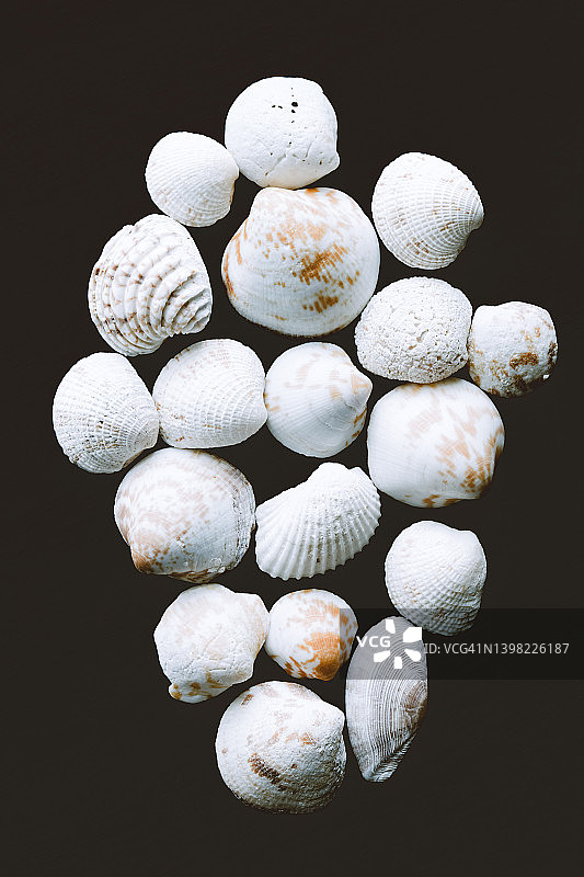 木质背景上的贝壳图片素材