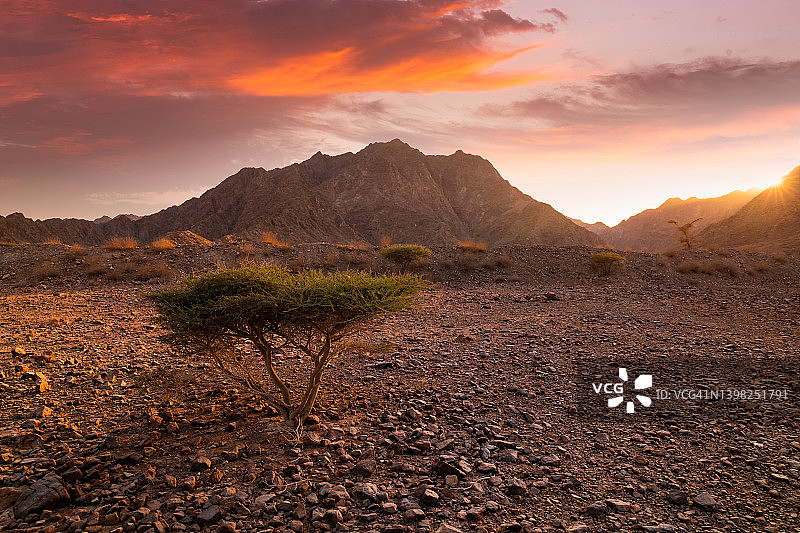 日落时分阿拉伯联合酋长国富查伊拉山区岩石荒漠图片素材