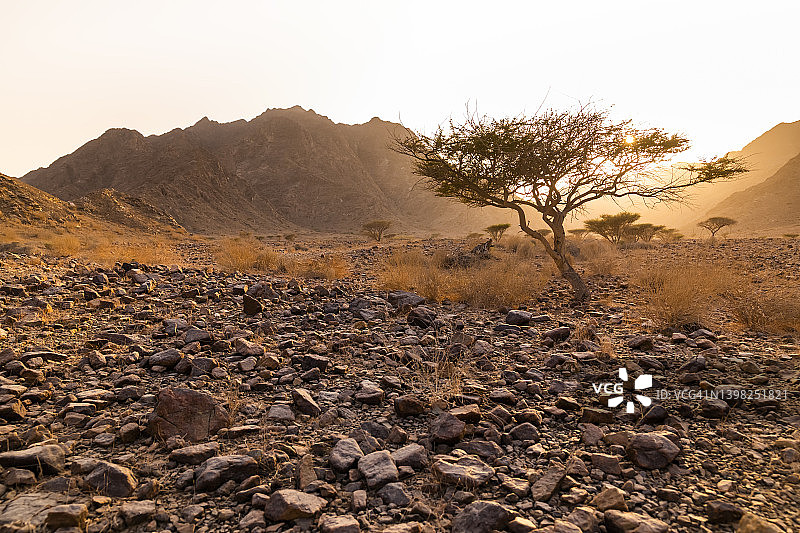 日落时分阿拉伯联合酋长国富查伊拉山区岩石荒漠图片素材