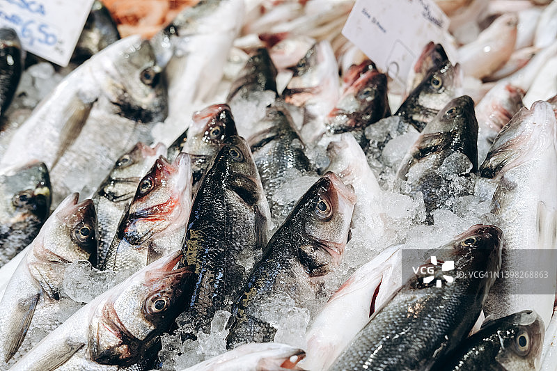 当地鱼市上的新鲜鱼类和海鲜：鲈鱼、鲑鱼、鱿鱼、贻贝图片素材