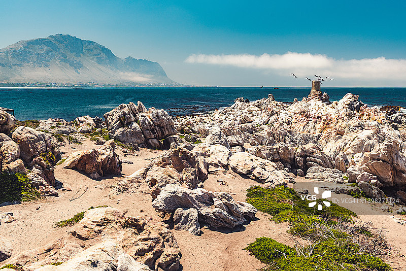 鸬鹚在南非巨石海滩欣赏风景图片素材