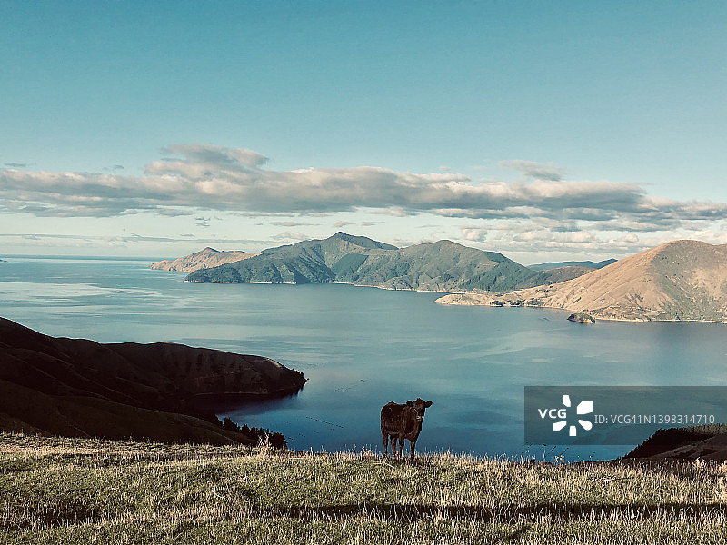 新西兰马尔堡峡湾图片素材