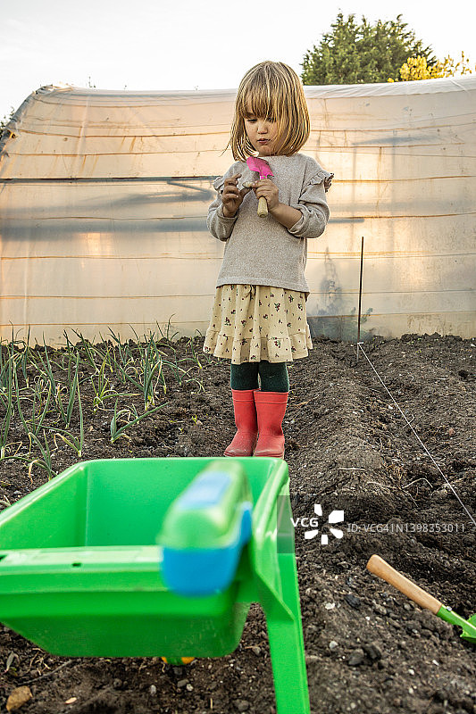 小女孩在花园里拿着小铲子，身前放着玩具手推车图片素材