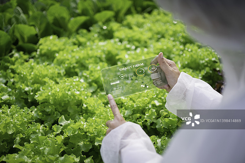 智慧农场和农业技术概念图片素材