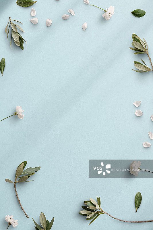 柔和的粉蓝色背景中的白色花朵和绿叶框架，顶视图图片素材