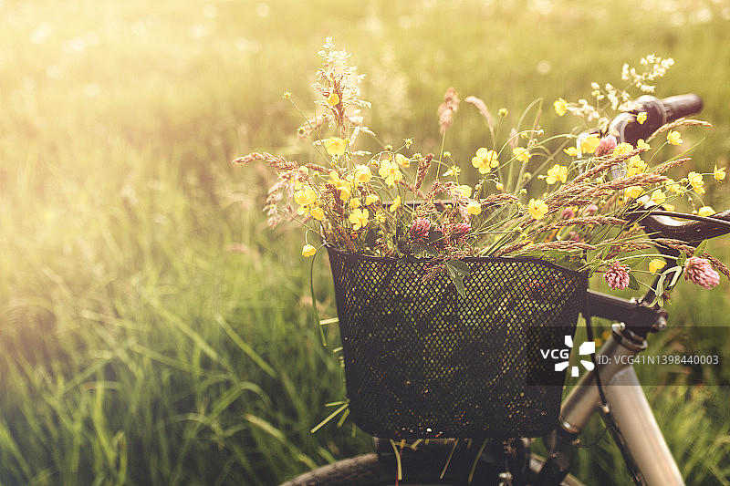 田野里的自行车，车筐里装着野花图片素材