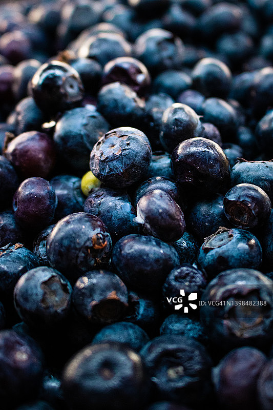 市场上的一堆新鲜采摘的蓝莓图片素材