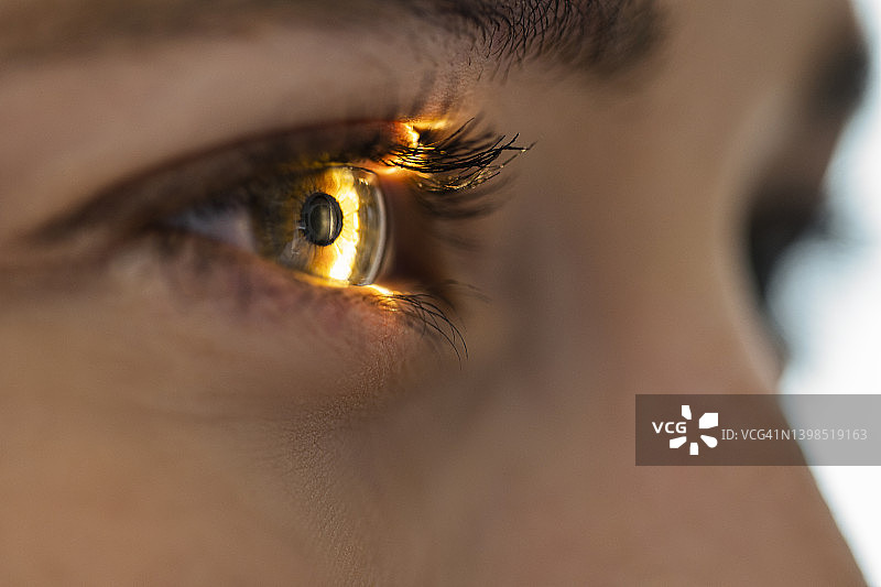 在视力检查中，光束穿过视网膜和晶状体图片素材