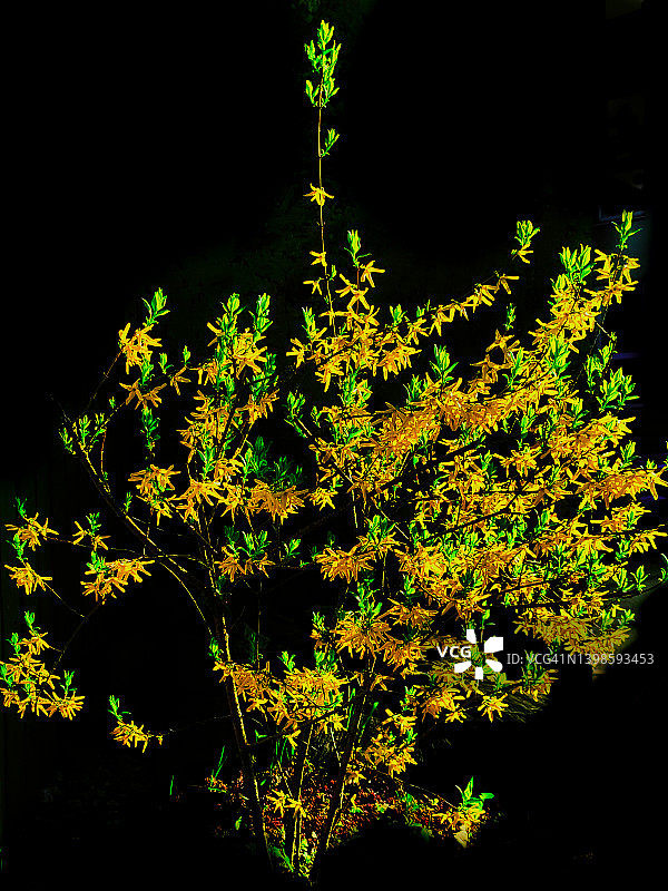 海边的浪漫时刻图片素材