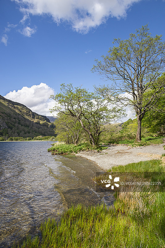 斯诺多尼亚国家公园Llyn Gwynant湖，北威尔士图片素材