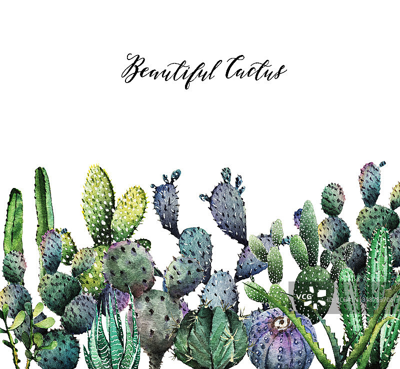 水彩仙人掌明信片图片素材