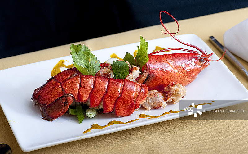 美洲龙虾图片素材