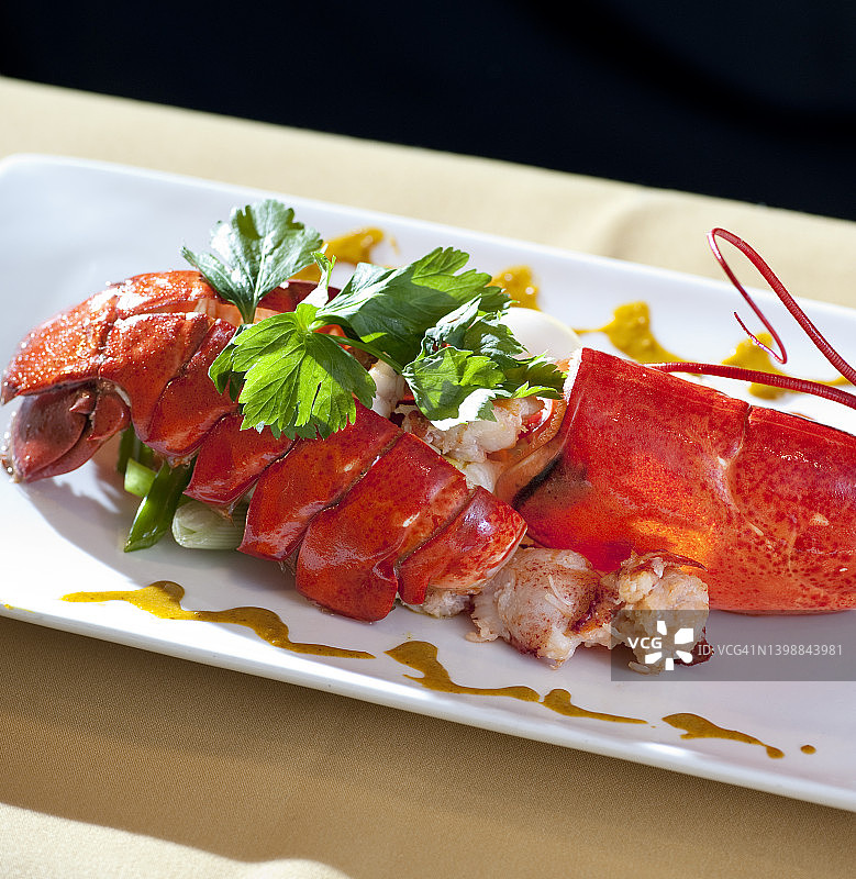 美洲龙虾图片素材