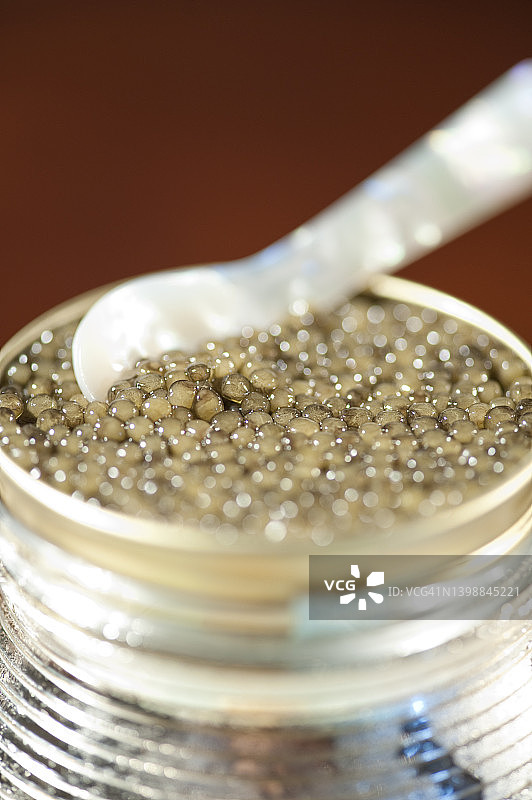 银罐盛鱼子酱图片素材