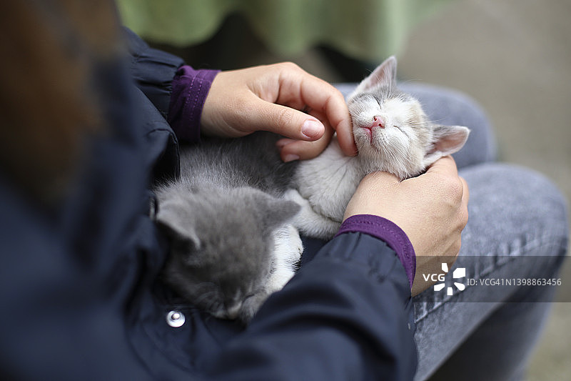 女人爱抚小猫图片素材