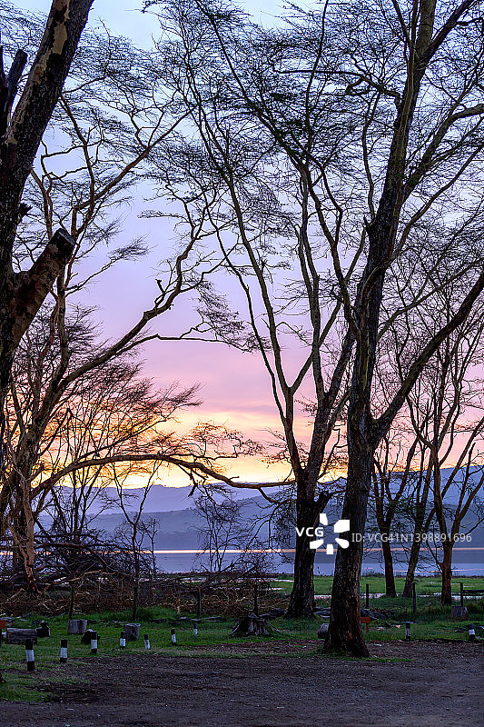 奈瓦沙湖日出图片素材