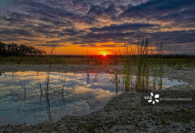 夕阳照亮佛罗里达大沼泽地的落水洞图片素材
