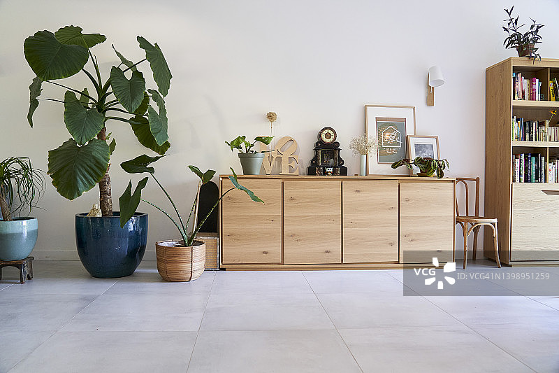 客厅里的书架、相框和盆栽图片素材