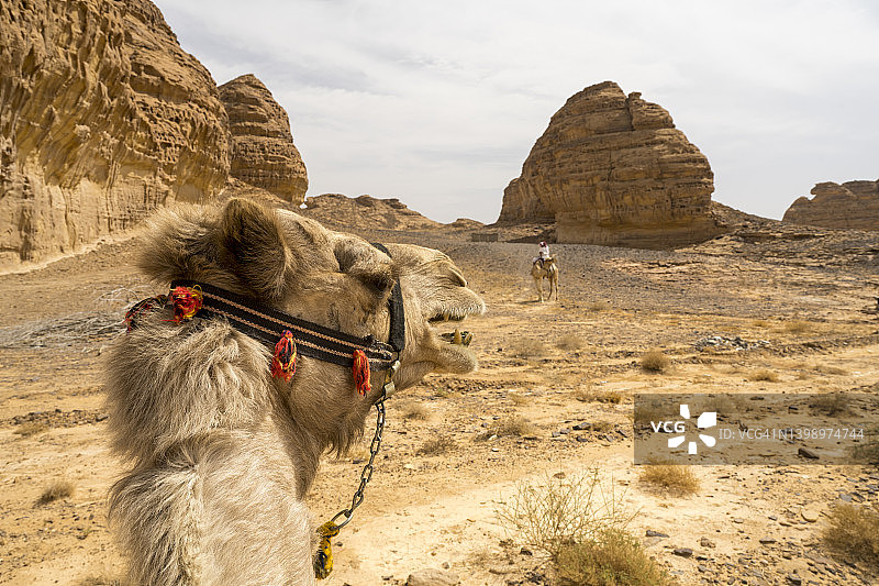 从骆驼骑手的视角看阿拉伯半岛的沙漠图片素材