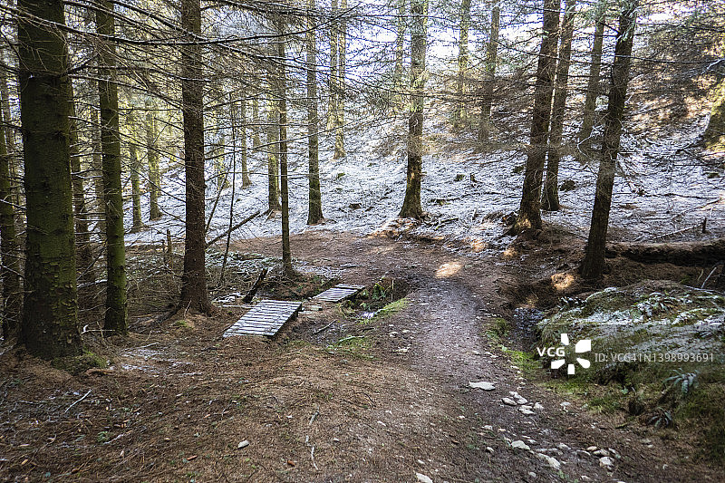 穿过雪地里兰德格拉森林的小路；图片来自英国威尔士，奇尔克磨坊和克卢伊德门之间的奥法堤坝国家步道，三月图片素材
