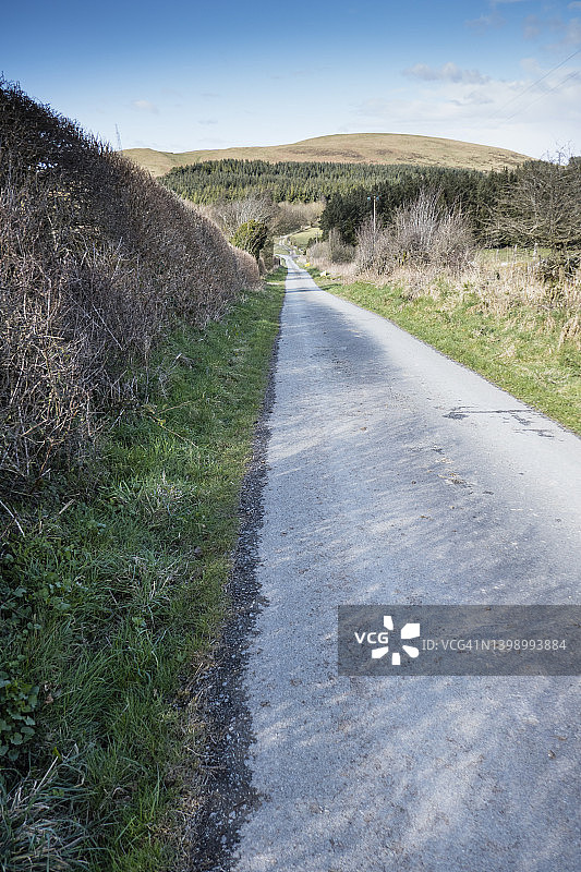 靠近Moel y Plas的道路,可以看到森林;图片摄于位于Chirk Mill和Clwyd Gate之间的Offa’s Dyke国家步道,英国威尔士。3月图片素材