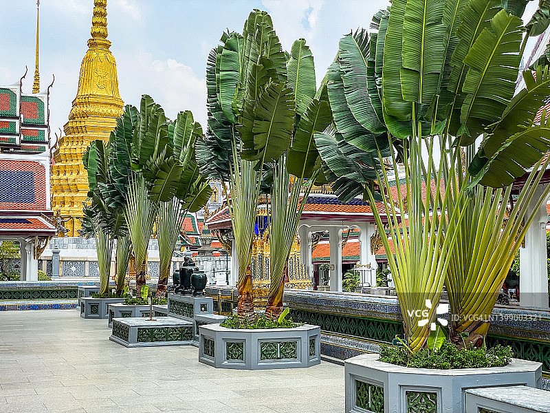背景中的大皇宫寺庙建筑：令人敬畏的宗教装饰雕像，宁静祥和图片素材