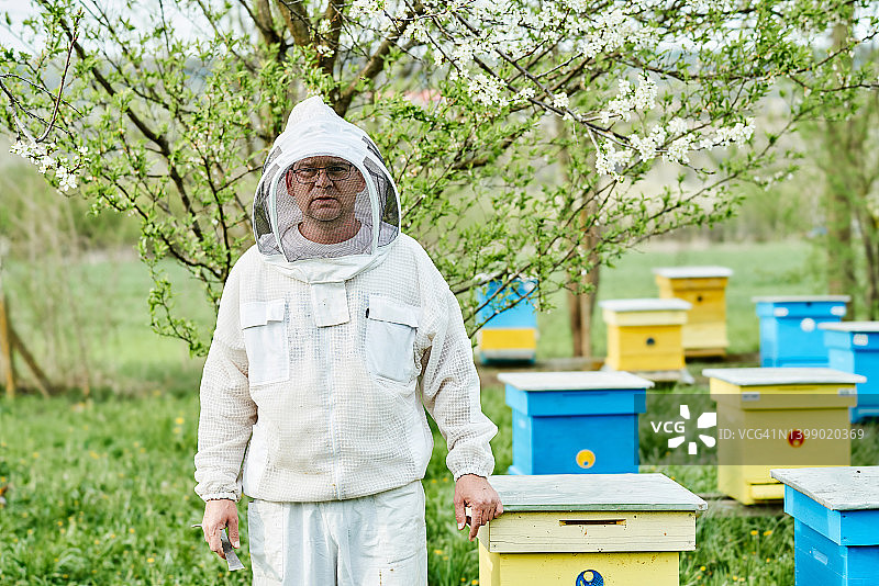工作中的养蜂人肖像图片素材