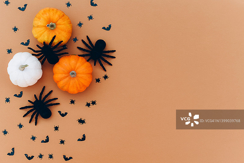 万圣节节日背景，蜘蛛和南瓜秋季组合图片素材