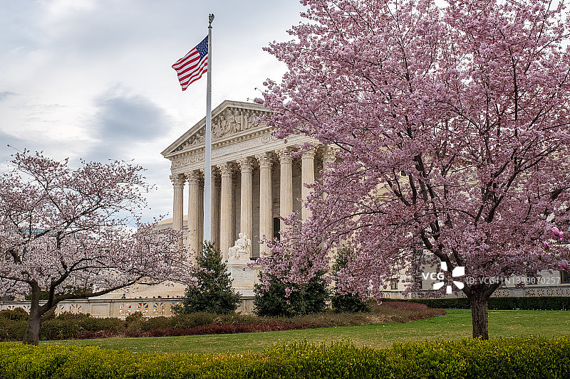 最高法院和樱花图片素材